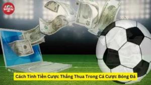 Cách Tính Tiền Cược Thắng Thua Trong Cá Cược Bóng Đá Bóng Lăn TV